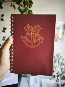 Livro de colorir Harry Potter